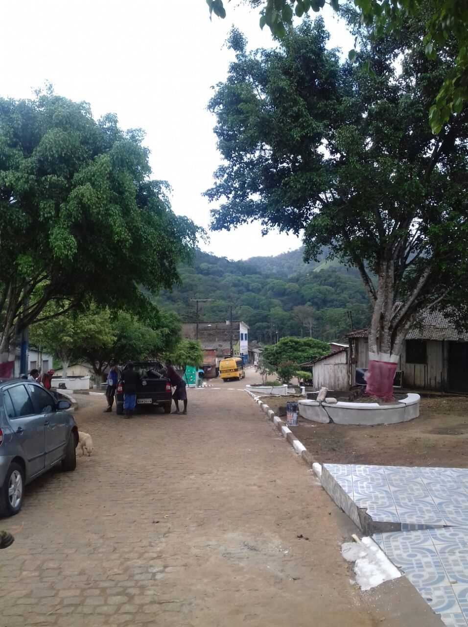 rosagem